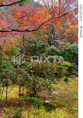 京都　秋の西明寺の庭園 128585501