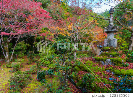 京都　秋の西明寺の庭園 128585503