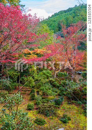 京都 秋の西明寺の庭園 京都 秋の西明寺の庭園 128585504