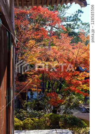 京都　秋の西明寺の庭園 128585506
