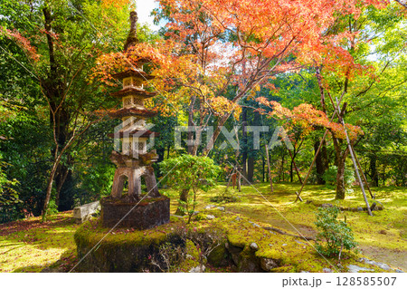 京都　秋の西明寺の庭園 128585507
