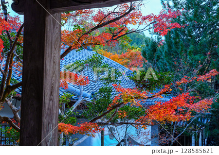 京都 秋の西明寺 京都 秋の西明寺 128585621