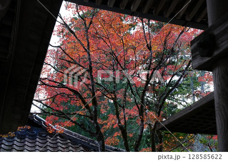 京都 秋の西明寺 京都 秋の西明寺 128585622