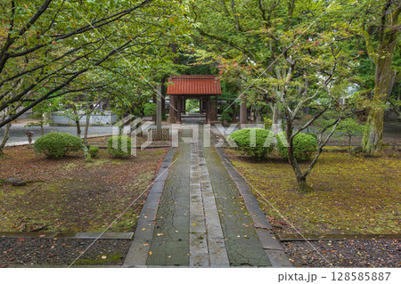 岩手 報恩寺 初夏の境内風景 128585887