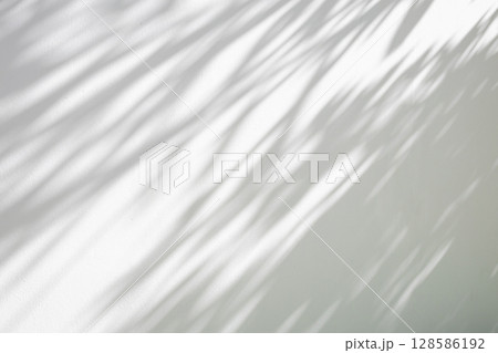 Abstract natural tree leaves shadow on white wall background 128586192