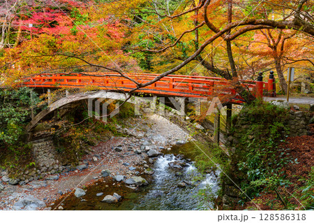 京都　西明寺　指月橋の秋 128586318