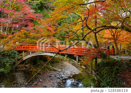 京都 西明寺 指月橋の秋 京都 西明寺 指月橋の秋 128586319