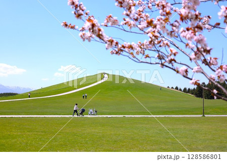桜とモエレ沼公園 128586801