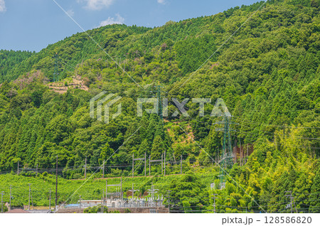 奥琵琶湖の山林風景　滋賀県長浜市 128586820