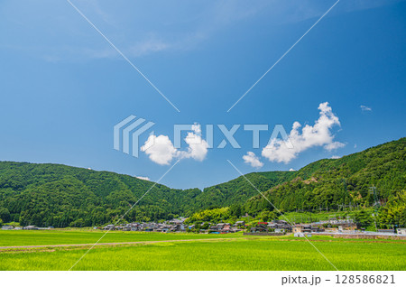 奥琵琶湖西浅井町の田園風景 滋賀県長浜市 奥琵琶湖西浅井町の田園風景 滋賀県長浜市 128586821