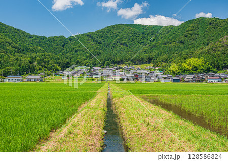奥琵琶湖西浅井町の田園風景 滋賀県長浜市 奥琵琶湖西浅井町の田園風景 滋賀県長浜市 128586824