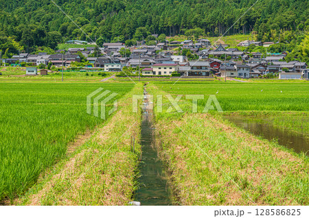 奥琵琶湖西浅井町の田園風景　滋賀県長浜市 128586825