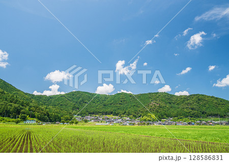 奥琵琶湖西浅井町の田園風景 滋賀県長浜市 奥琵琶湖西浅井町の田園風景 滋賀県長浜市 128586831