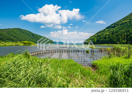 夏の奥琵琶湖 滋賀県長浜市 夏の奥琵琶湖 滋賀県長浜市 128586851