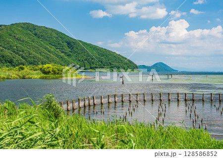 夏の奥琵琶湖 滋賀県長浜市 夏の奥琵琶湖 滋賀県長浜市 128586852