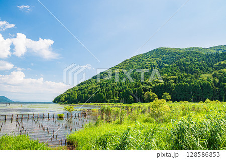 夏の奥琵琶湖 滋賀県長浜市 夏の奥琵琶湖 滋賀県長浜市 128586853
