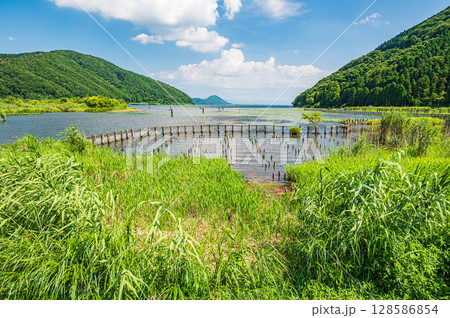 夏の奥琵琶湖　滋賀県長浜市 128586854
