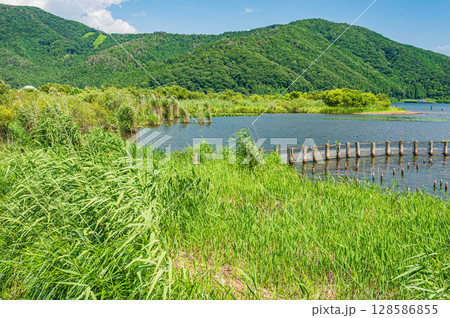 夏の奥琵琶湖　滋賀県長浜市 128586855