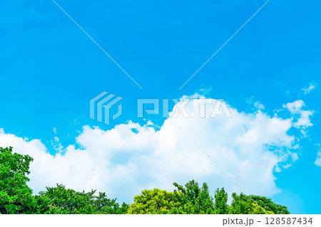 青空と雲と木立 青空と雲と木立 128587434