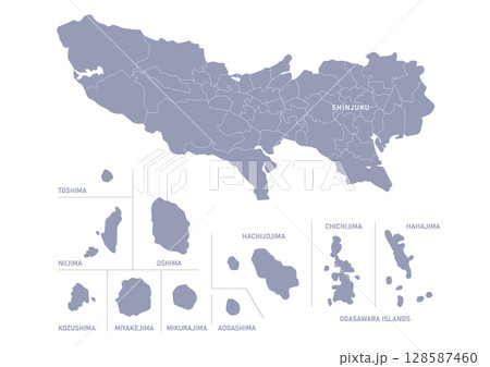 グレー色の東京都の行政区分付き地図（島） 128587460
