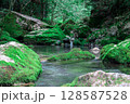 伏流水の景色② 128587528