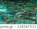 モネの池 128587531