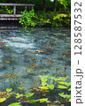モネの池② 128587532
