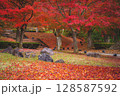 紅葉の絨毯と落ち葉 128587592