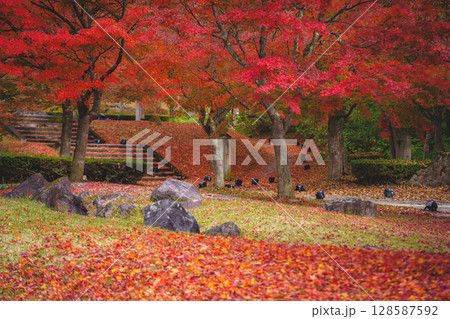 紅葉の絨毯と落ち葉 128587592