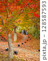 秋の紅葉に染まる 128587593