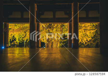 寝殿から見るライトアップされた紅葉 128587594