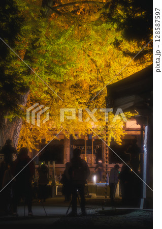ライトアップされた紅葉と参拝者 128587597
