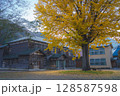 喰丸小学校と黄葉のイチョウ 128587598