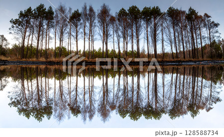Reflection of Trees on a Misty Forest Lake 128588734