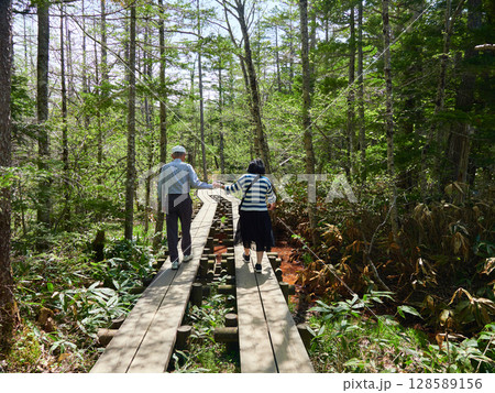 夏の観光名所上高地の森の散策道でハイキングする観光客 128589156