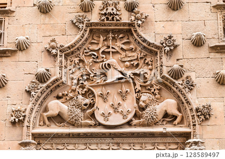 Intricate stone carvings of lions and coat of arms at a historical building in Salamanca, Spain 128589497