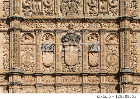 Detailed carvings and royal coats of arms on the facade of the Universidad de Salamanca in Spain Detailed carvings and royal coats of arms on the facade of the Universidad de Salamanca in Spain 128589555