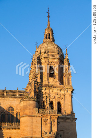 Detail of the stunning sandstone tower in Salamanca's historic architecture during sunset Detail of the stunning sandstone tower in Salamanca's historic architecture during sunset 128589558