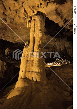 Stalagmite formation in the depths of Grottes de Betharram, France, revealing nature's artistry and beauty Stalagmite formation in the depths of Grottes de Betharram, France, revealing nature's artistry and beauty 128589719