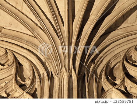 Symmetric architectural details of the Sainte-Secile cathedral ceiling in Albi, France Symmetric architectural details of the Sainte-Secile cathedral ceiling in Albi, France 128589781