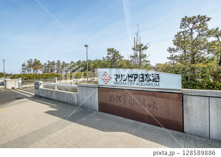 新潟県新潟市　快晴の新潟市水族館マリンピア日本海 128589886