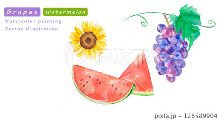 スイカとぶどうの水彩ベクター夏イラストセット 128589904
