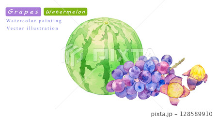 スイカとぶどうの水彩ベクター夏イラストセット 128589910