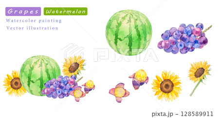 スイカとぶどうの水彩ベクター夏イラストセット 128589911