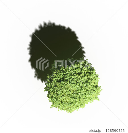 tree with a shadow under it, top view, isolate on a transparent background, 3d illustration tree with a shadow under it, top view, isolate on a transparent background, 3d illustration 128590523