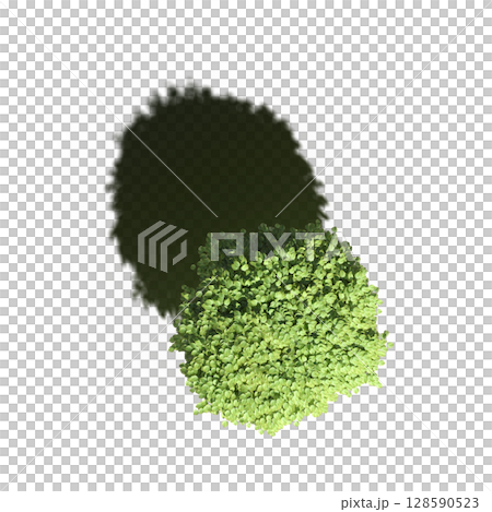 tree with a shadow under it, top view, isolate on a transparent background, 3d illustration tree with a shadow under it, top view, isolate on a transparent background, 3d illustration 128590523