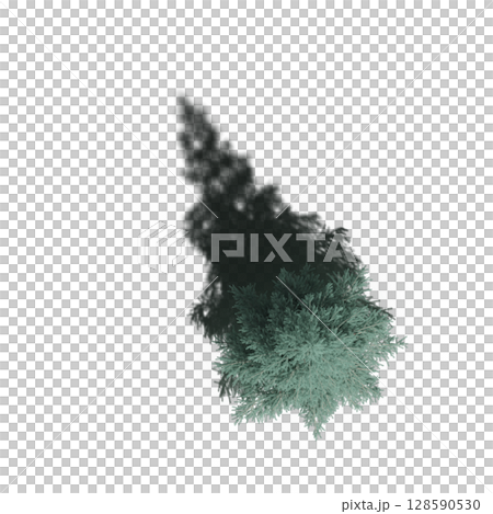 tree with a shadow under it, top view, isolate on a transparent background, 3d illustration 128590530