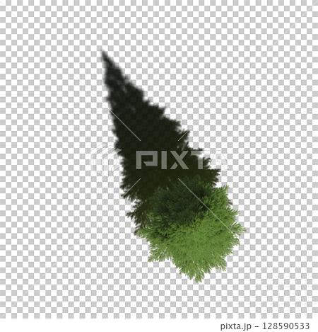 tree with a shadow under it, top view, isolate on a transparent background, 3d illustration tree with a shadow under it, top view, isolate on a transparent background, 3d illustration 128590533