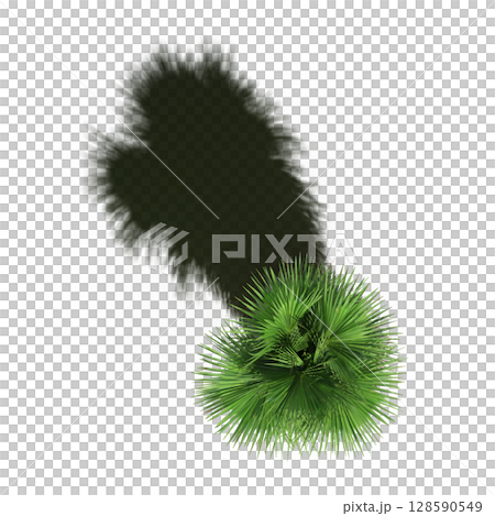 tree with a shadow under it, top view, isolate on a transparent background, 3d illustration 128590549