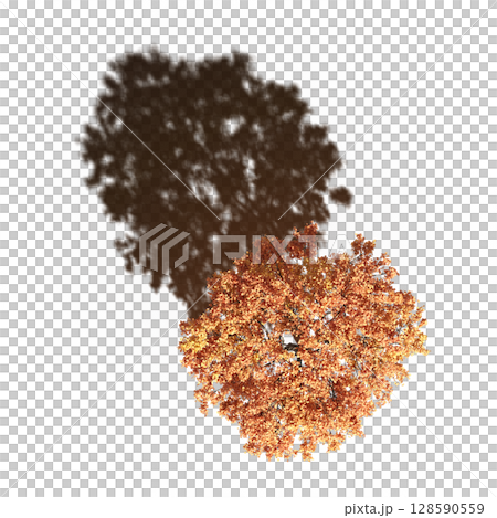 tree with a shadow under it, top view, isolate on a transparent background, 3d illustration 128590559